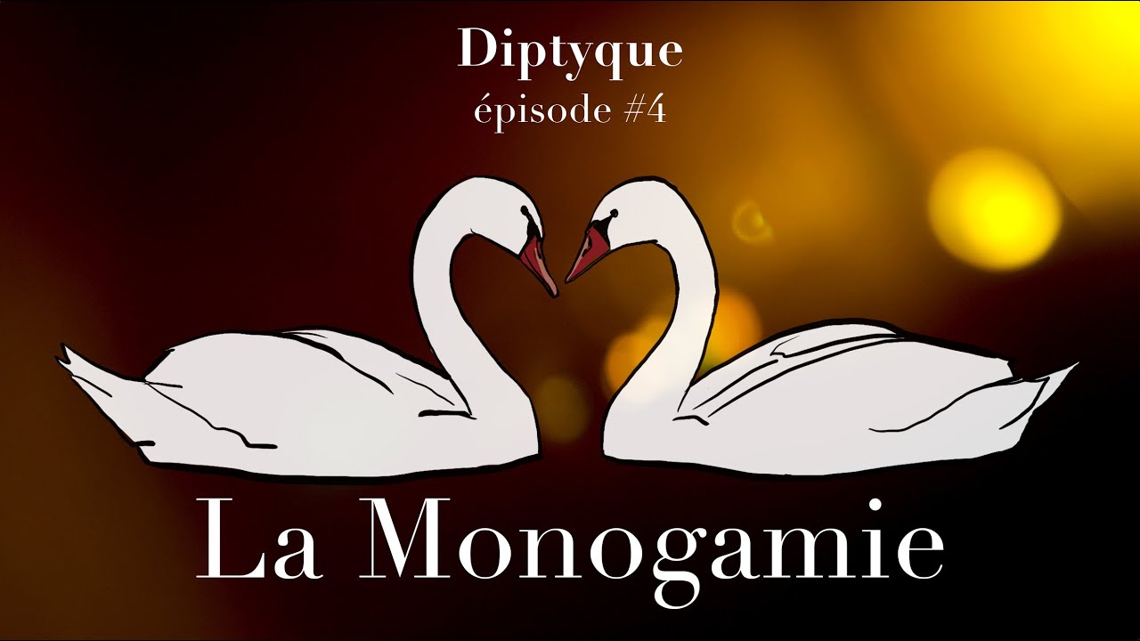 #4 - La monogamie  🦢