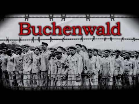Así Fue Buchenwald: El Horror de Uno de los Primeros Campos Nazis