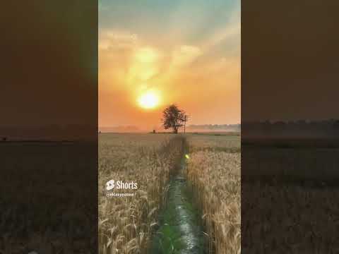 eklavya videography @eklavynature#nature #shorts kitne door abhi kitne. #song