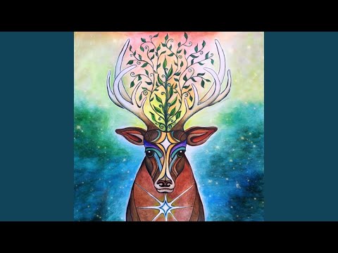 Holy Land - Diane Patterson