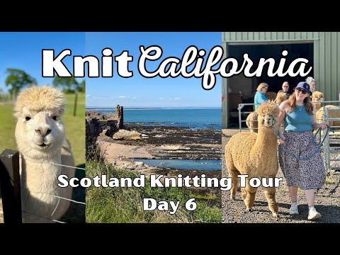 Scotland Knitting Tour Episode 6 - Knit California