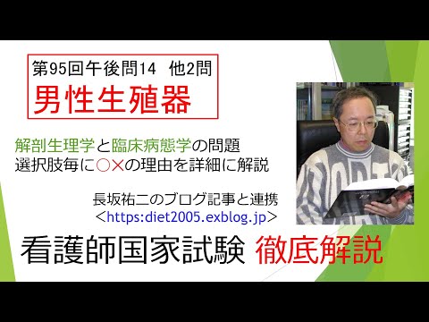 看護学科 男性生殖器95PM-14