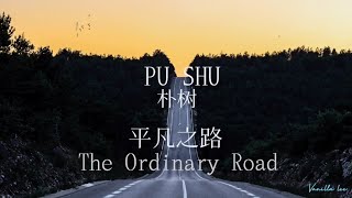 The Ordinary Road (平凡之路) - Pu Shu (朴树) Pinyin / English