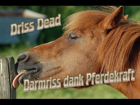 download lagu mp3 mp4 Darmriss, download lagu Darmriss gratis, unduh video klip Darmriss