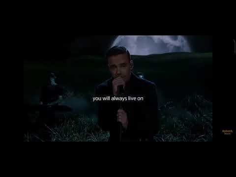 My love for 1D❤️Miss you Liam💔#robbie williams#angels#tribute to liam payne