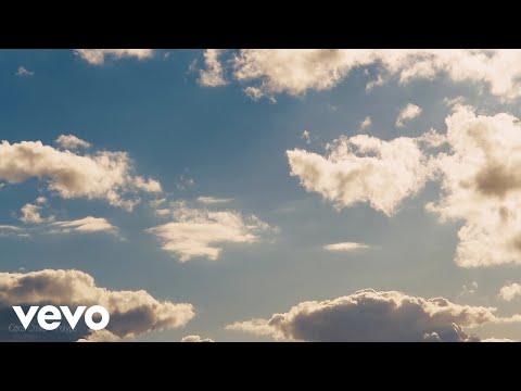 Coral Chiller - Polyps