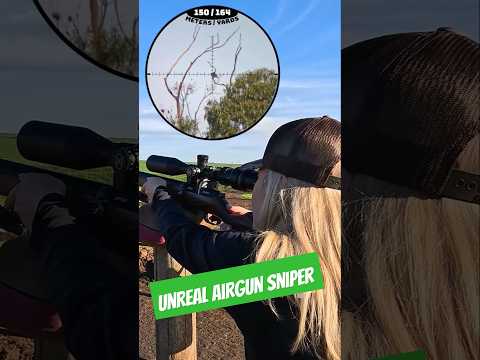 Unreal Airgun Sniper | Accuracy & Power | FX DRS Classic | Best airguns in the world | #hunting