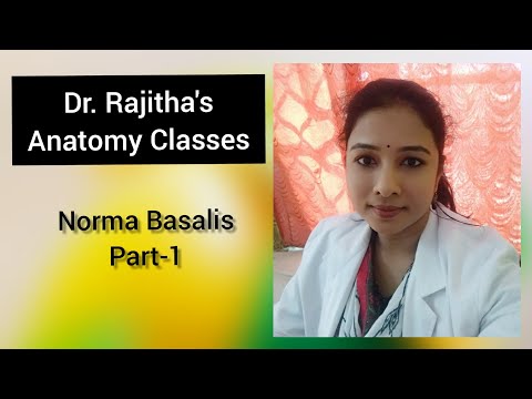Norma basalis part 1 (anatomy of base of skull anatomy) by Dr.Rajitha Vanga