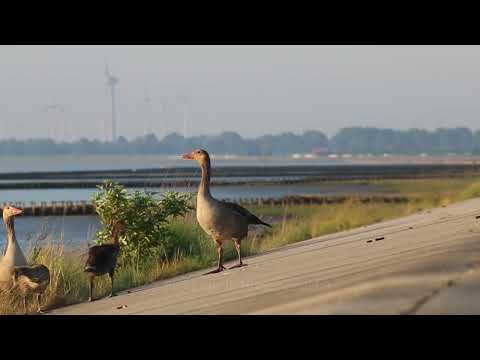 Horumersiel | Zukunftswerkstatt Wilhelmshaven | #zukunftwhv | 31-07-2022