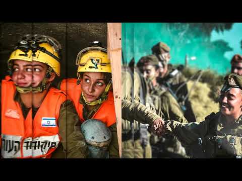 FIDF LIVE Ep.3 Teaser