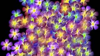 gene clark and the textones  jokers are wild       audio 1985 www keepvid com