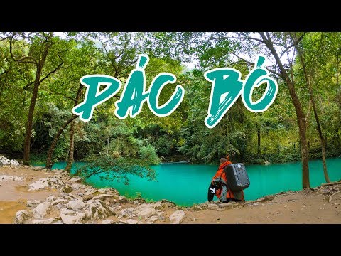 download lagu mp3 mp4 Pacpo, download lagu Pacpo gratis, unduh video klip Pacpo