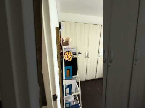 287A Compassvale Crescent, 287A 287A, Hougang / Punggol / Sengkang, 3 Bedrooms, 1,216 sqft, HDB Flat For Sale, by Jasper Koh, 500262935 - PropertyGuru.com.sg