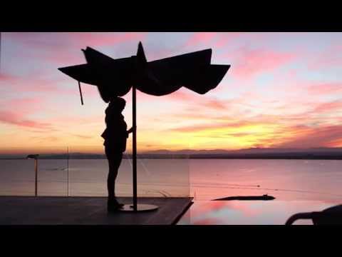 Видеообзор