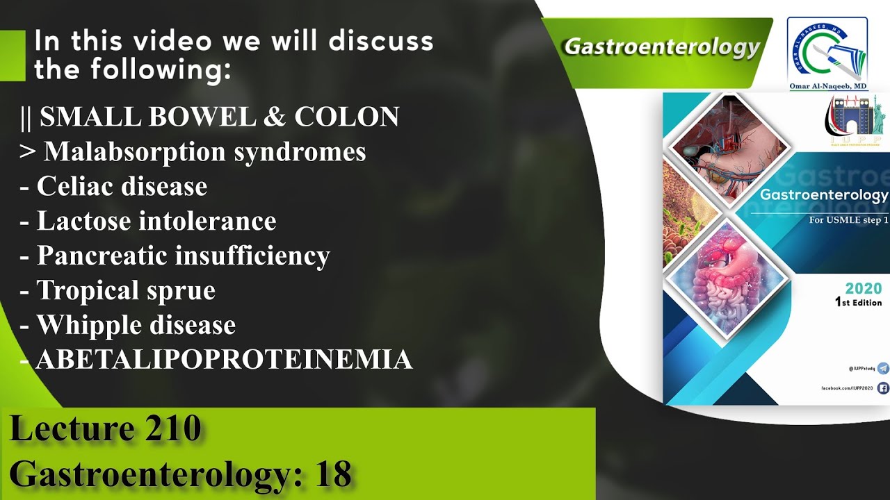 Celiac disease | Lactose intolerance | Pancreatic insufficiency | Tropical sprue | Whipple disease