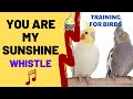 YOU ARE MY SUNSHINE with WHISTLE - Cockatiel Singing Training - Bird Whistling