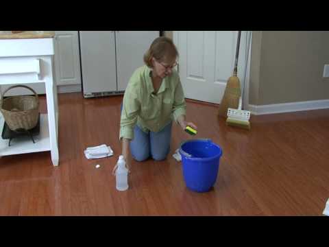 Cleaning Floors : How to Remove Cat Urine From...