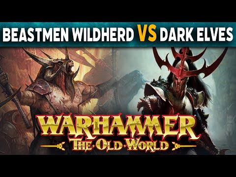 Beastmen Brayherds Wildherd VS Dark Elves - Warhammer The Old World Battle Report