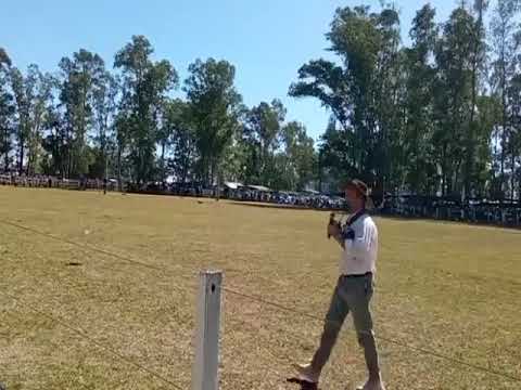 Paleteada de vacunos - Festival de Doma y Folklore - Plácido Rosas, Cerro Largo 07/02/2026