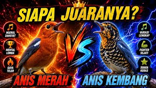 Download lagu Anis Merah vs Anis Kembang: Which One Is the Champion? A Complete Comparison! mp3
