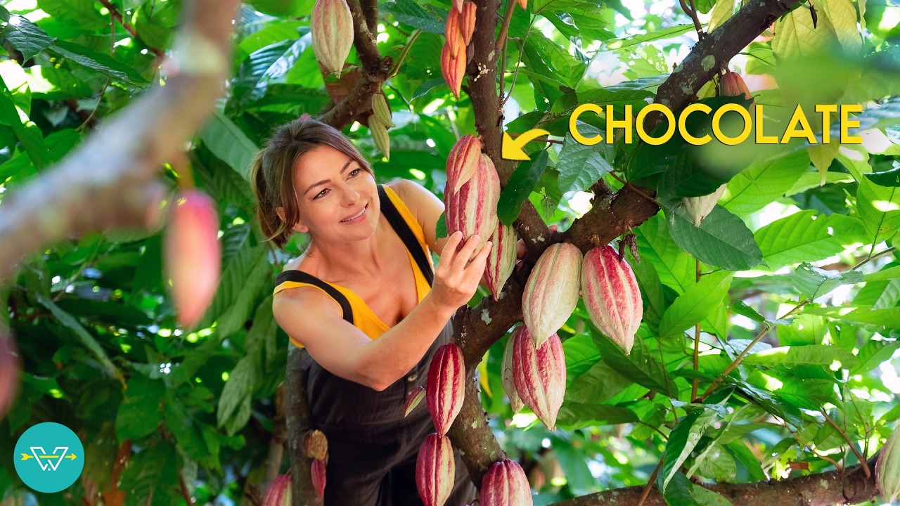 You’ll Never Look at Chocolate the Same After This