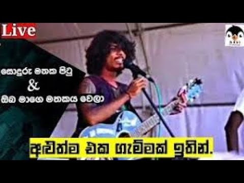 Shehan Shakila | Soduru Mathaka Pitu | Chilaw Vidhara Holi Blast | #dilshana | #shehan | #song