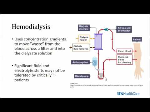 Keyword Review: Renal Dysfunction - Dr. Hatton