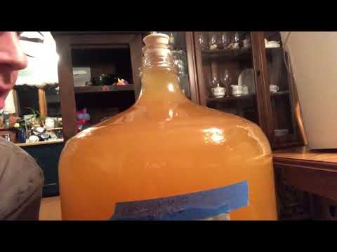 Racking Wine from Primary Fermenter