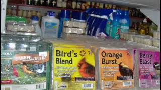 wmu-EDT 3470-EDJ The Joy of Birding.wmv