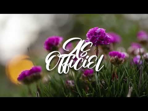 DJ BLACKFLAYS x RIJADE FT. GOULAM - TOUCHE PAS ( 4ANOV ) HALFDAN REMIX 2022