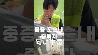 犬の匂いって良いですよね