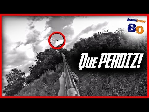 Caza de PERDIZ al Salto ¡Lo que pudo ser!