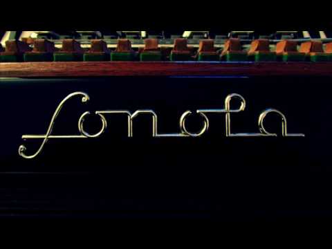 Miloš Jevtić - Pavketova dunda