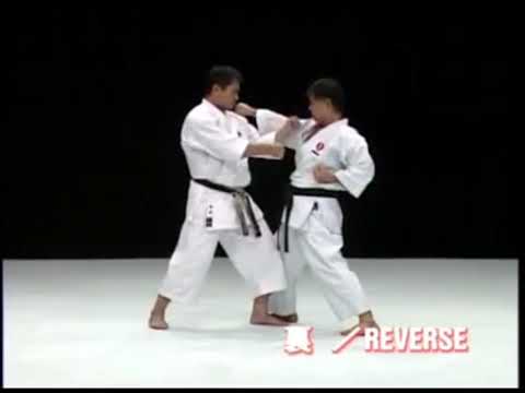 Ryuei-ryu - Sakumoto-sensei - Heiku - Bunkai