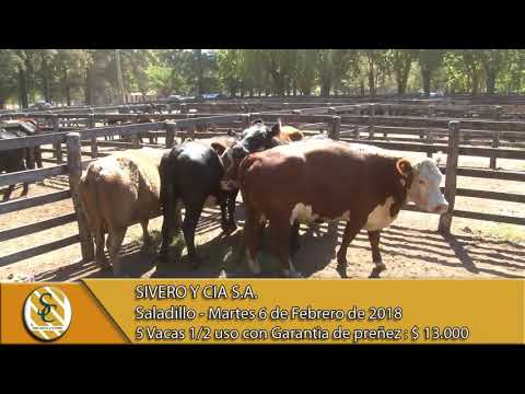 06-02-18 Venta de Vientres - Sivero y Cia S.A. - Saladillo.