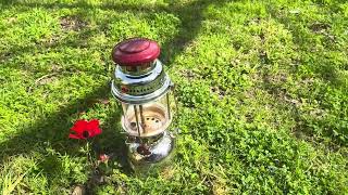 The Optimus 1550  /500CP pressure kerosene lantern and the Anemone - 1
