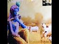 Karthikeya 2 2022 Movie Lord Krishna Introduction