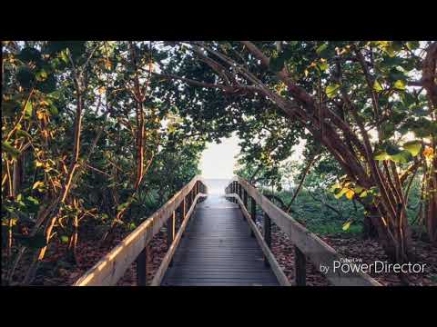 MUNDAJAM - VINEKI MUNDA [ PACIFIC MUSIC ] - 2018 -