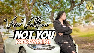 Via Vallen - Not You by Alan Walker X Emma Steinba