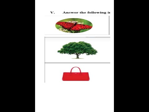 E V S QUESTION PAPER