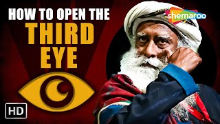 How to Open the Third Eye? Sadhguru Answers