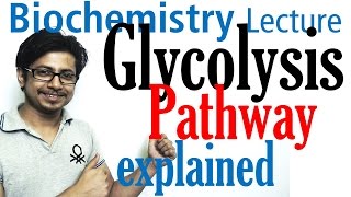 Glycolysis biochemistry