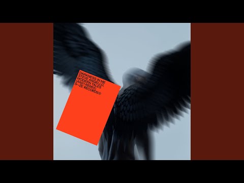 Darkness In Me (AN21 Remix)