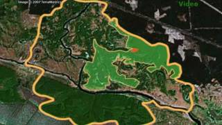 Fragment of "Where has the forest gone? It was still here yesterday!" 2007