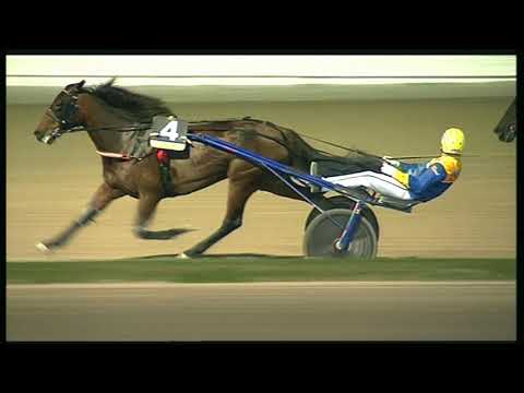 Trotto 25/10/2020 - 8ª corsa - G.P. Lotteria Consolazione