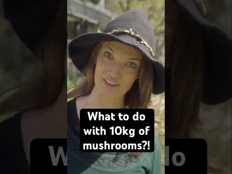 Mushroom Overload: We Got 10 Kilos & Got SO Sick Of 'Em! #shorts