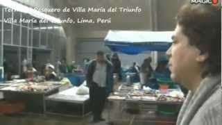 preview picture of video 'Terminal Pesquero de Villa María del Triunfo - VMT, Lima, Perú'