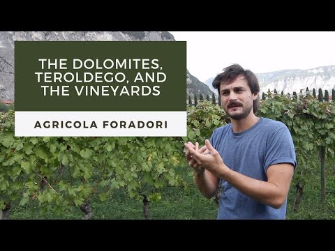 Agricola Foradori: the Vineyards, the Dolomites, and the Teroldego Wine