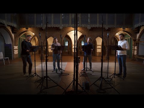 MOMENTS OF VISION - Linard Vrielink, Jaka Mihelač, Adam Kutny, Erik Rosenius (album trailer) #vocal