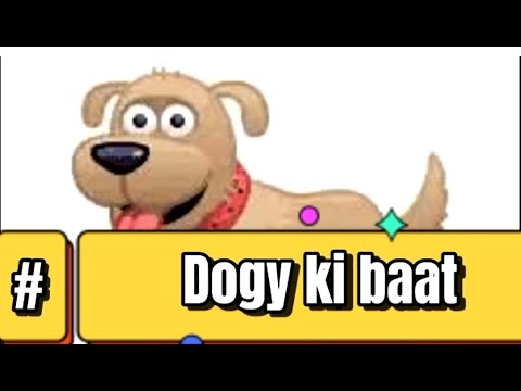 Area Of Discussion (Dogs) | Funny Moments | The Courtyard | #missrashid | Raza Ali Shah